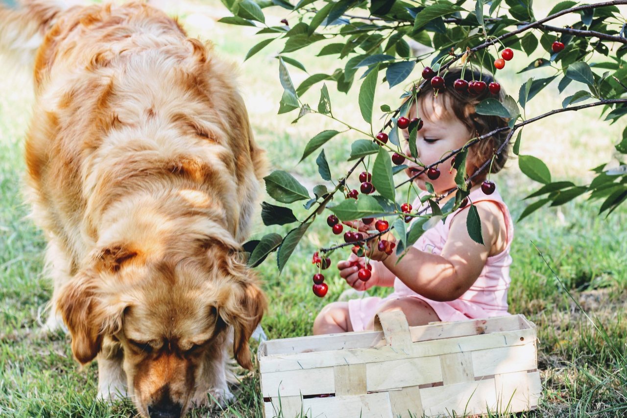 Kinderparadies inklusive: Mein Traumhaus von Bien-Zenker im eigenen Garten!